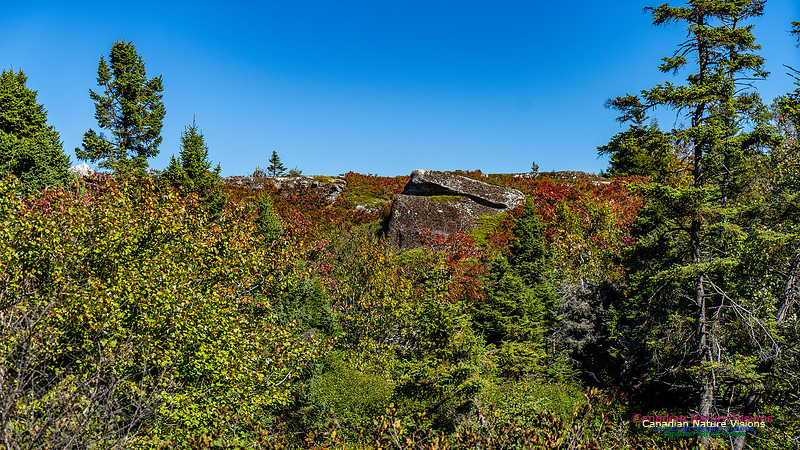Smiley's Provincial Park Colours and Points On Route 133
