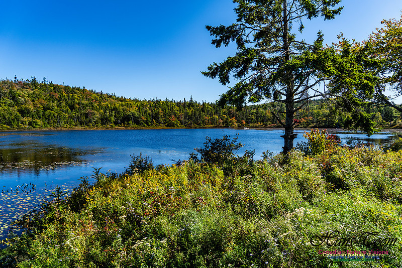 Smiley's Provincial Park Colours and Points On Route 138