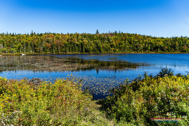 Smiley's Provincial Park Colours and Points On Route 139