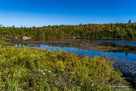 Smiley's Provincial Park Colours and Points On Route 140