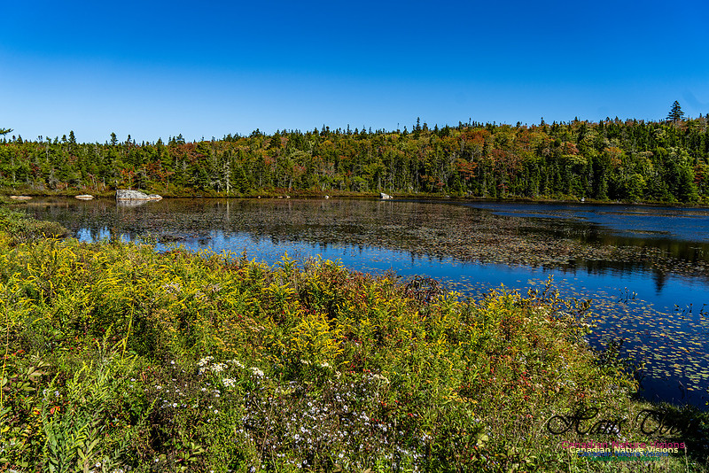 Smiley's Provincial Park Colours and Points On Route 140