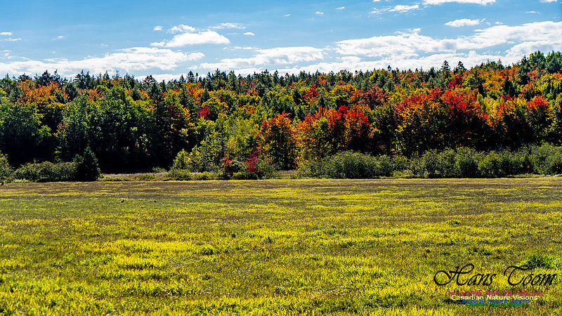 Smiley's Provincial Park Colours and Points On Route 157