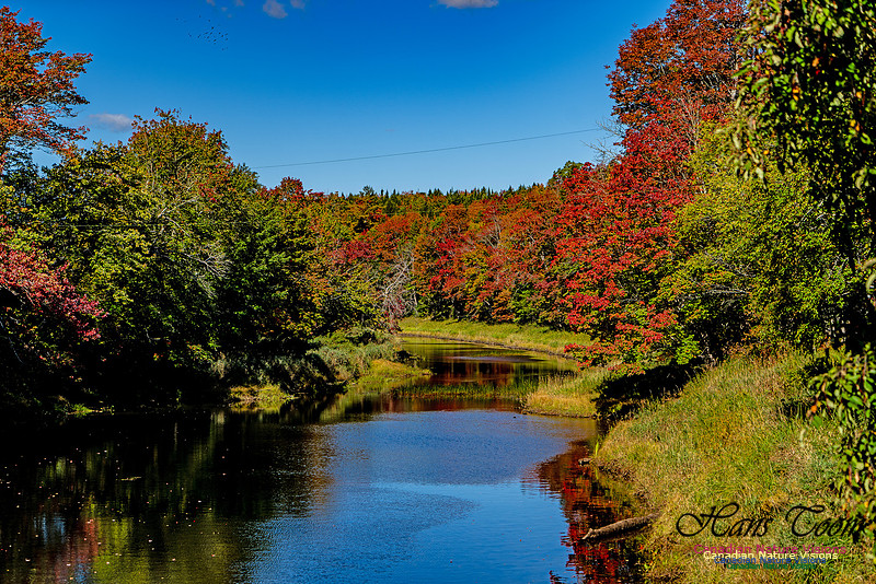 Smiley's Provincial Park Colours and Points On Route 155