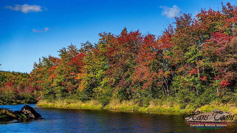 Smiley's Provincial Park Colours and Points On Route 162