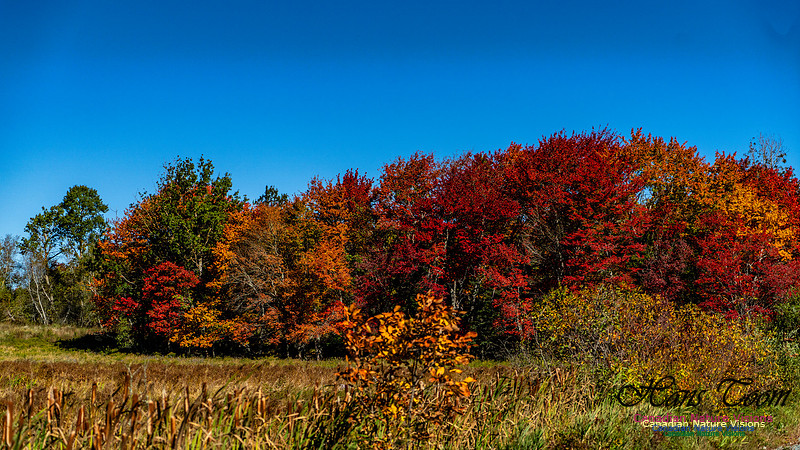 Smiley's Provincial Park Colours and Points On Route 166