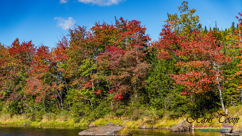 Smiley's Provincial Park Colours and Points On Route 163