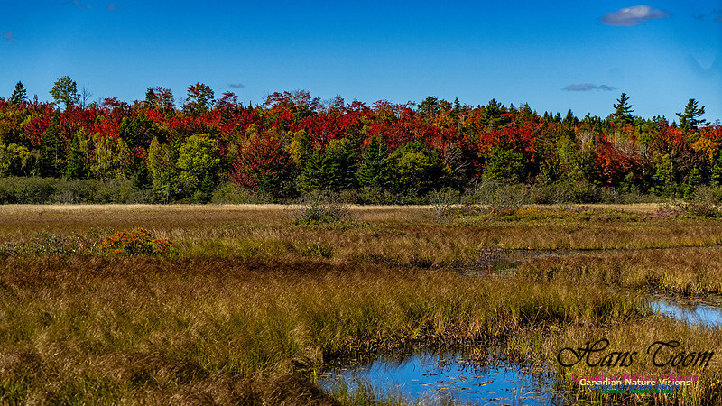Smiley's Provincial Park Colours and Points On Route 167