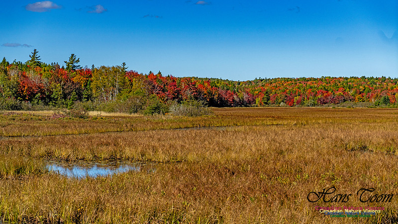 Smiley's Provincial Park Colours and Points On Route 168