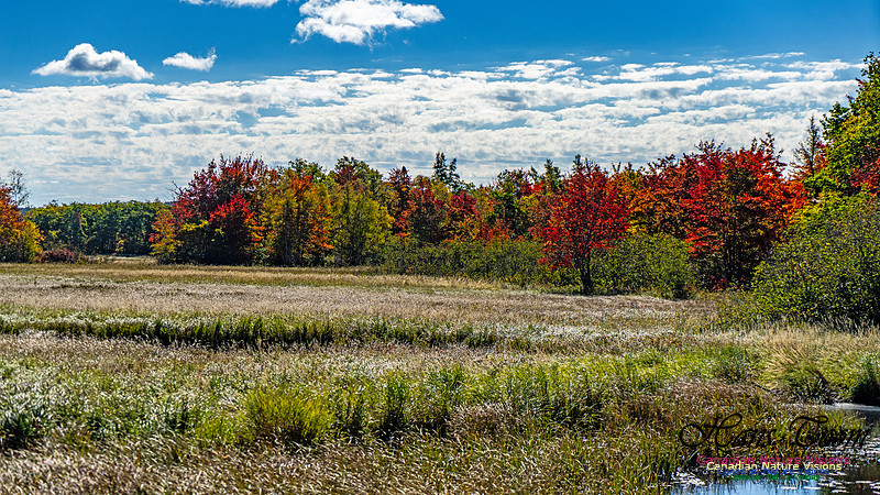 Smiley's Provincial Park Colours and Points On Route 171