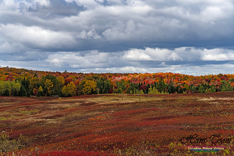 Smiley's Provincial Park Colours and Points On Route 172