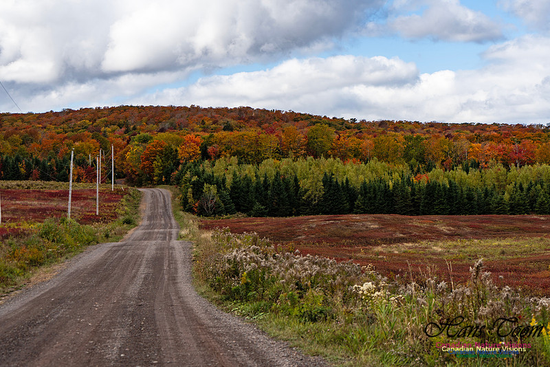 Smiley's Provincial Park Colours and Points On Route 174