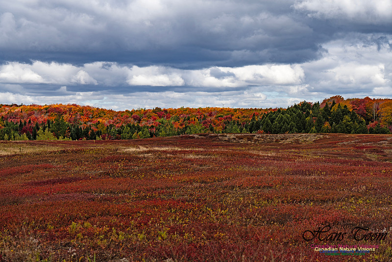 Smiley's Provincial Park Colours and Points On Route 173