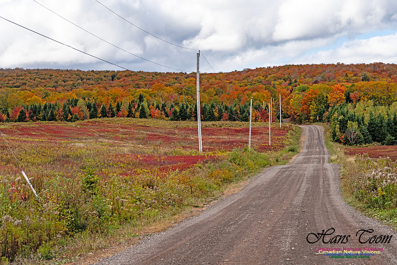 Smiley's Provincial Park Colours and Points On Route 175