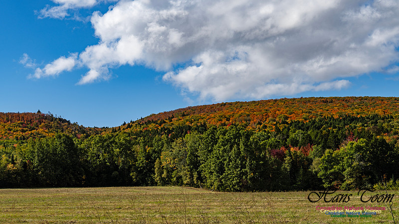 Smiley's Provincial Park Colours and Points On Route 176