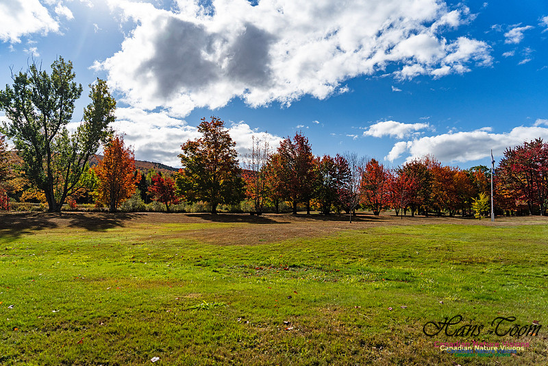 Smiley's Provincial Park Colours and Points On Route 179