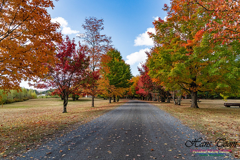 Smiley's Provincial Park Colours and Points On Route 178