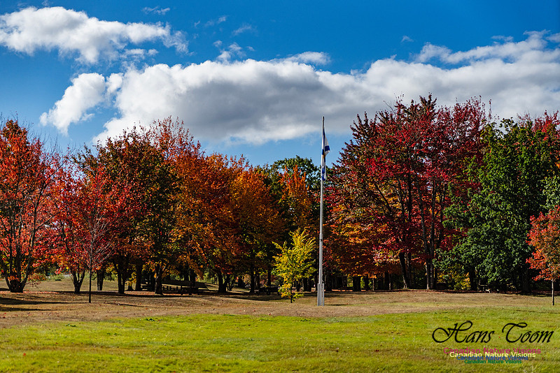 Smiley's Provincial Park Colours and Points On Route 180