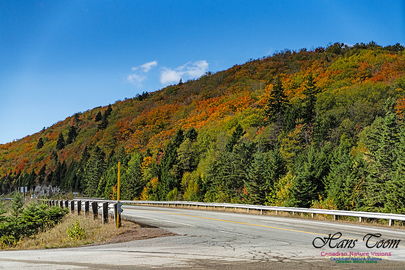 Smiley's Provincial Park Colours and Points On Route 181