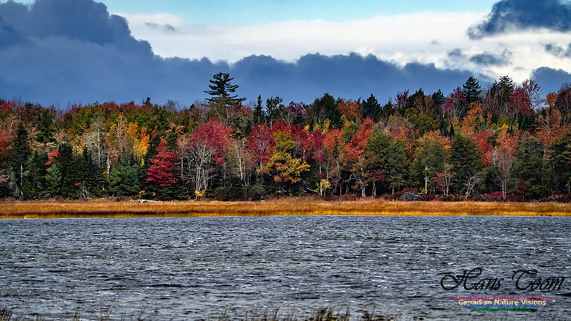 Smiley's Provincial Park Colours and Points On Route 186