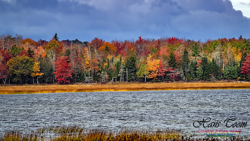 Smiley's Provincial Park Colours and Points On Route 187