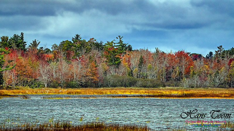 Smiley's Provincial Park Colours and Points On Route 185