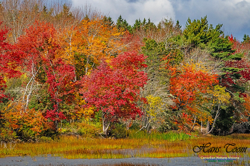 Smiley's Provincial Park Colours and Points On Route 184