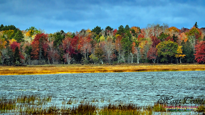 Smiley's Provincial Park Colours and Points On Route 188