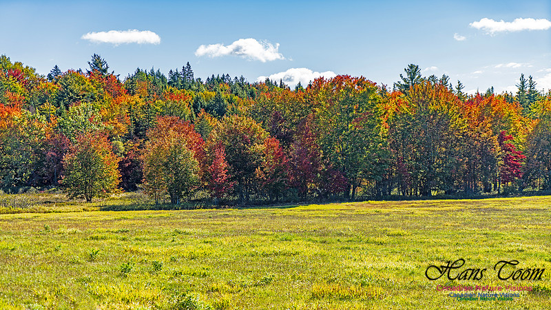 Smiley's Provincial Park Colours and Points On Route 145