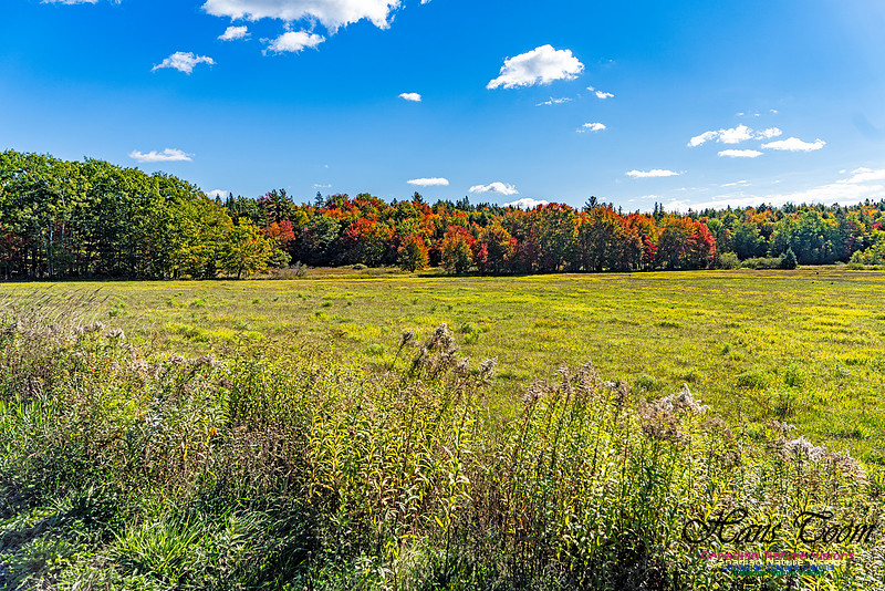 Smiley's Provincial Park Colours and Points On Route 146