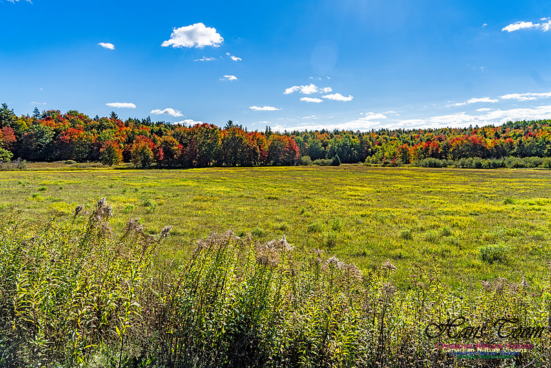 Smiley's Provincial Park Colours and Points On Route 147