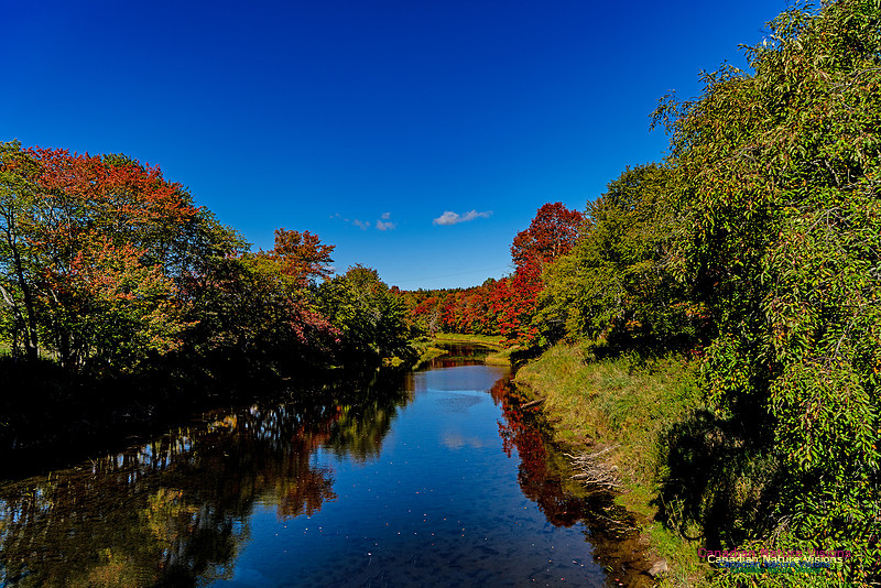 Smiley's Provincial Park Colours and Points On Route 153