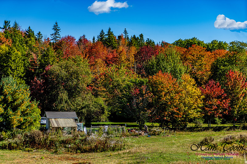 Smiley's Provincial Park Colours and Points On Route 156