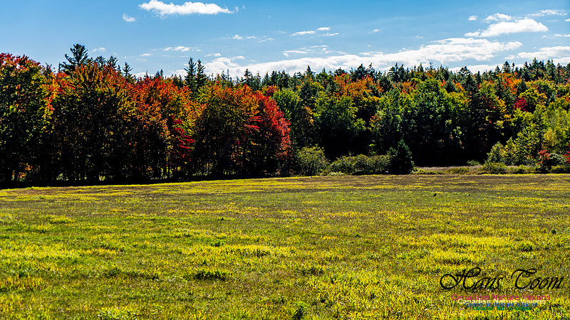Smiley's Provincial Park Colours and Points On Route 158