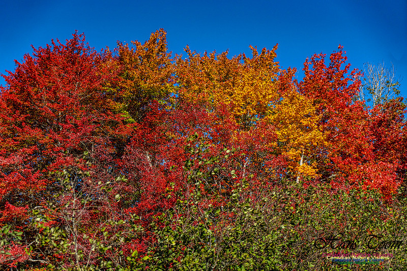 Smiley's Provincial Park Colours and Points On Route 165 copy