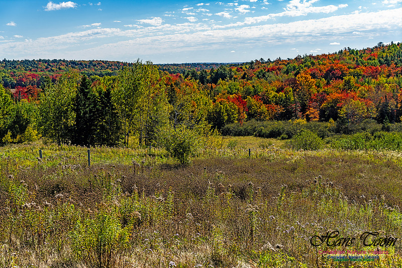Smiley's Provincial Park Colours and Points On Route 150 copy