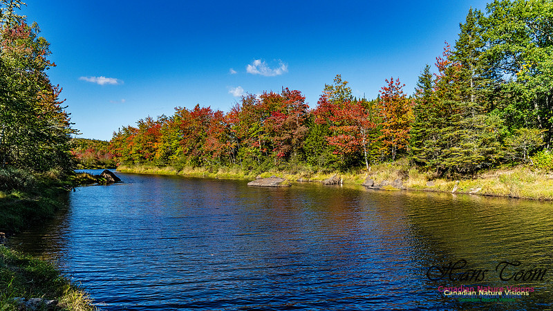 Smiley's Provincial Park Colours and Points On Route 159 copy