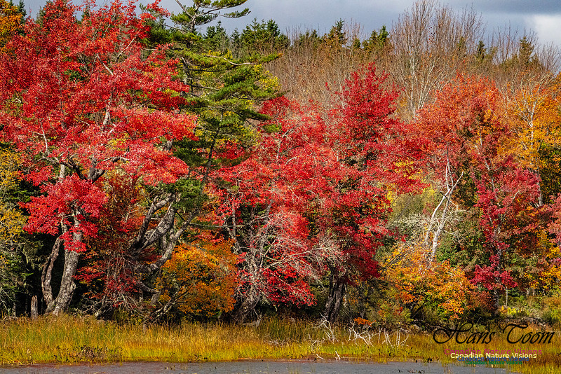 Smiley's Provincial Park Colours and Points On Route 182 copy
