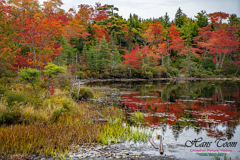 Smiley's Provincial Park Colours and Points On Route 105 copy