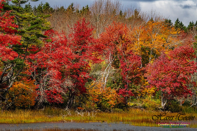Smiley's Provincial Park Colours and Points On Route 183 copy