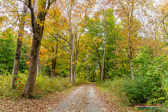 Smiley's Provincial Park Colours and Points On Route 113 copy
