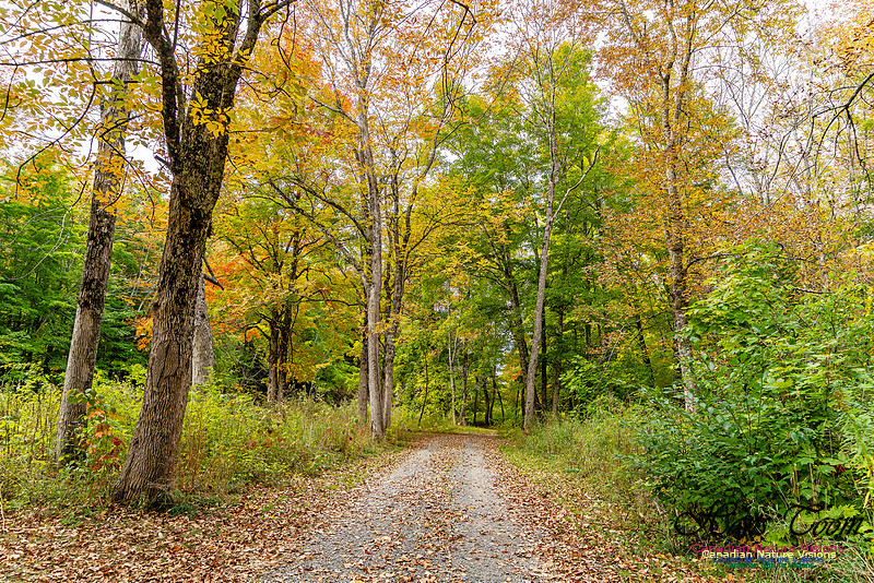 Smiley's Provincial Park Colours and Points On Route 113 copy
