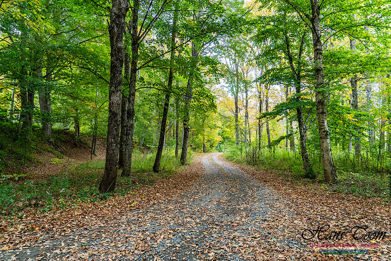 Smiley's Provincial Park Colours and Points On Route 114 copy