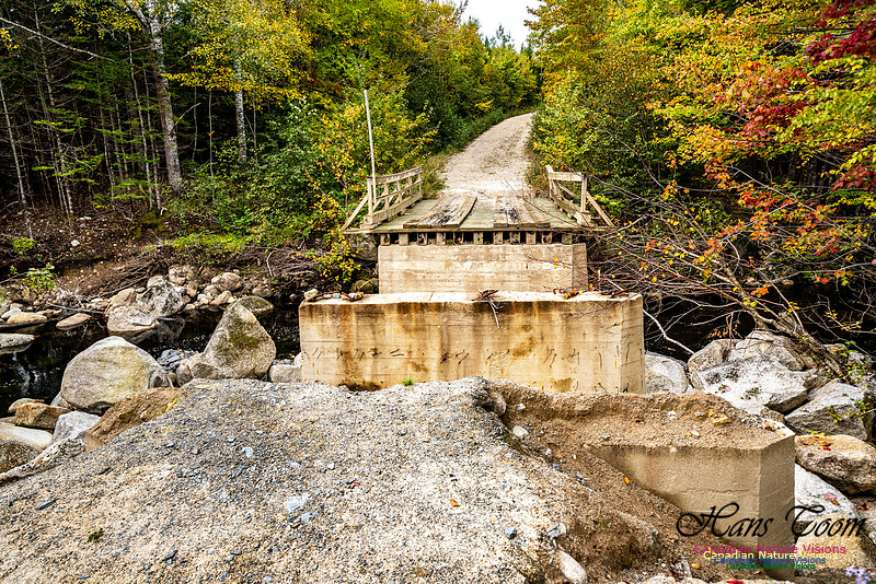 More Early Fall Photos in Nova Scotia 203