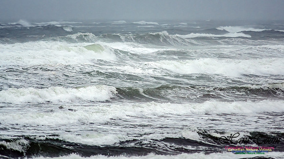 Martinique Beach Gale 108