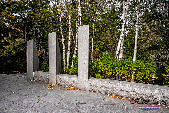 Swiss Air Interment Site 106
