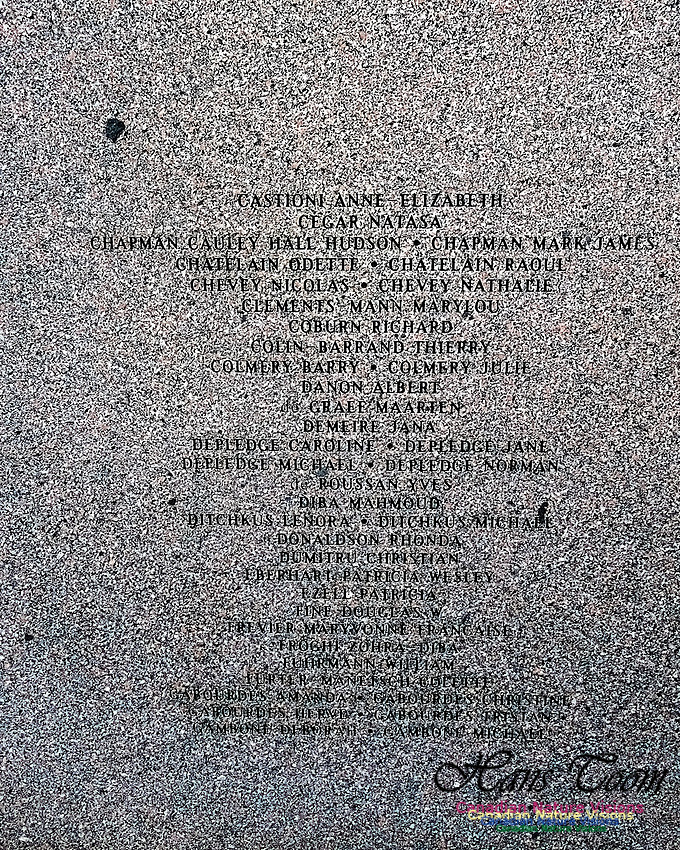 Swiss Air Interment Site 112