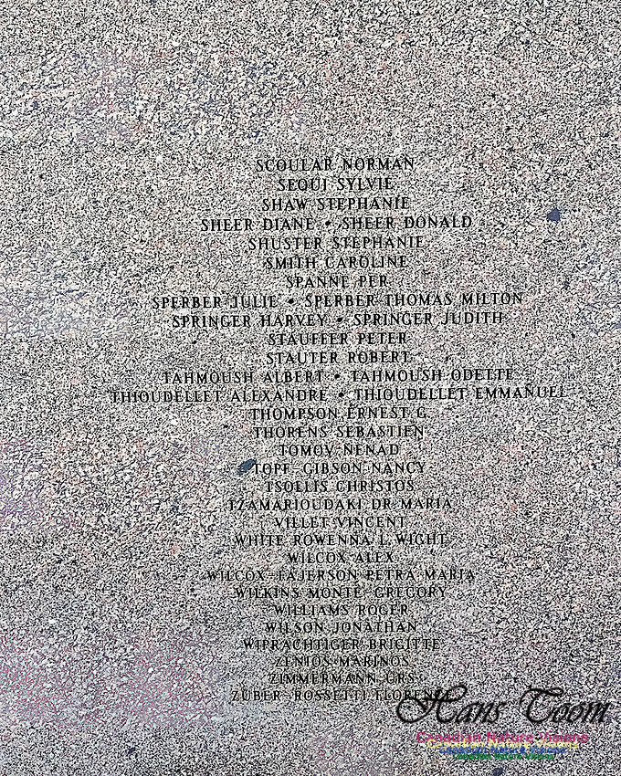 Swiss Air Interment Site 117