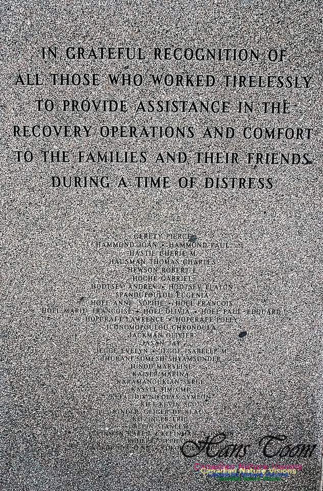 Swiss Air Interment Site 113