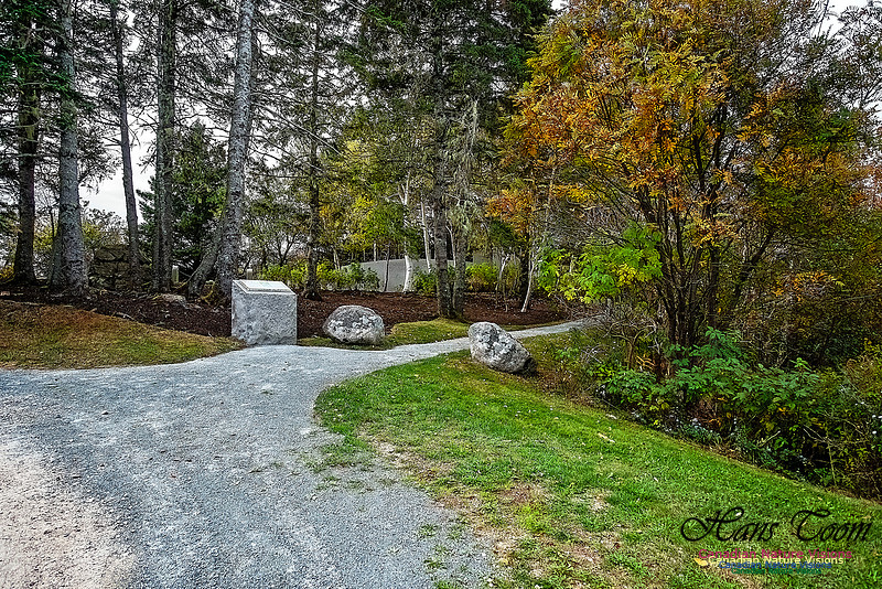 Swiss Air Interment Site 120