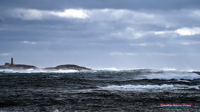 Sambro Island Channel Blustery Day 103